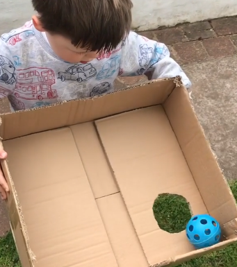 Ball on sale drop game